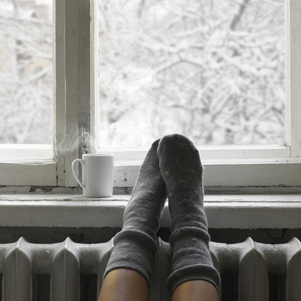 Cozy winter still life